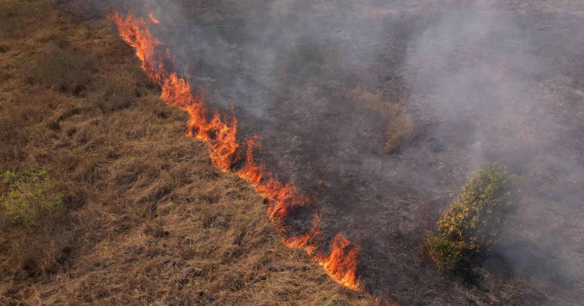 L'influence de l'action humaine sur le scénario environnemental dans lequel se trouve le monde